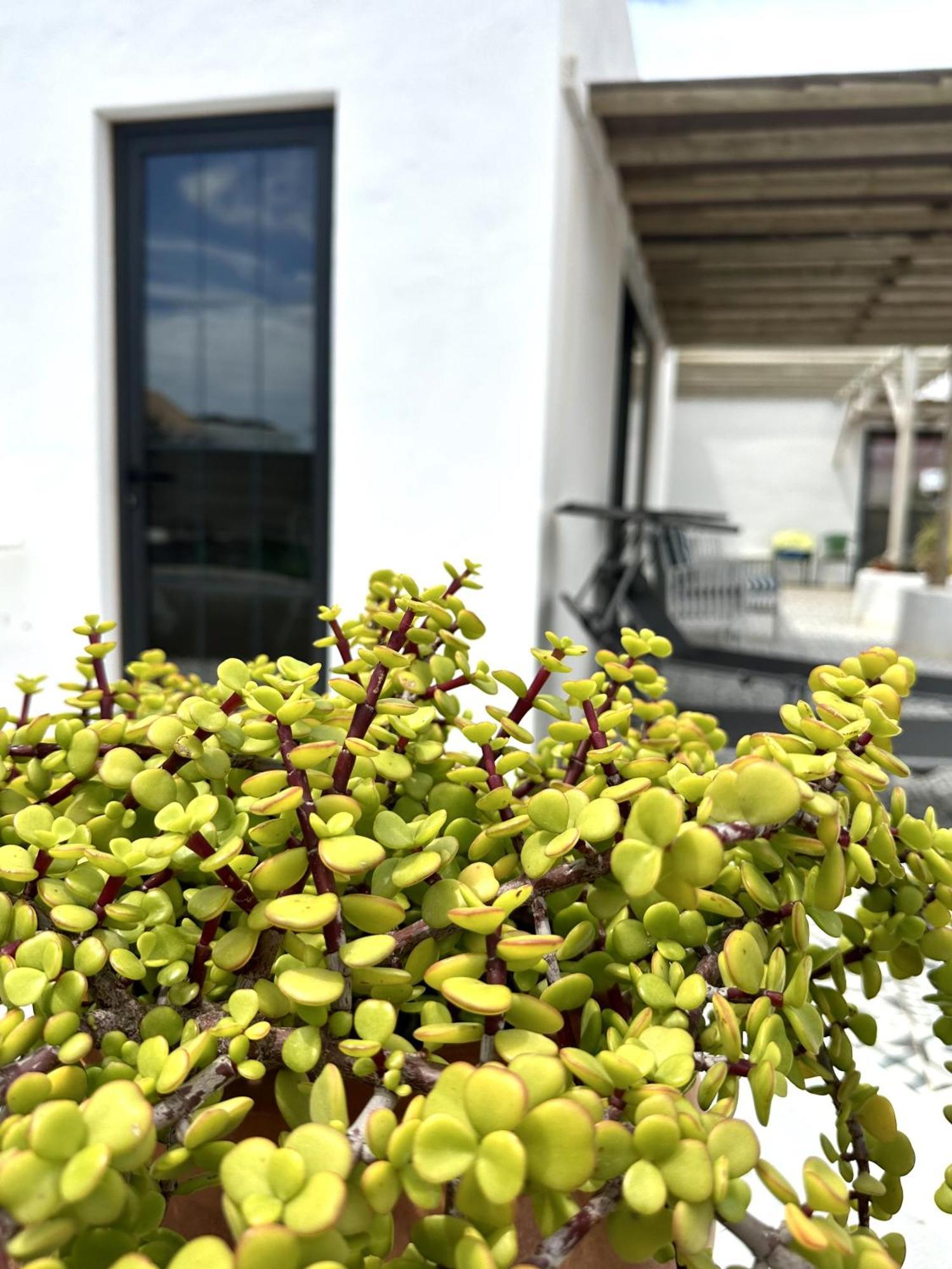 Casita Tiare Lajares Διαμέρισμα Εξωτερικό φωτογραφία